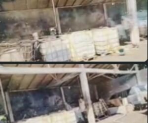 Screenshot 20251211 151029 WhatsAppBusiness