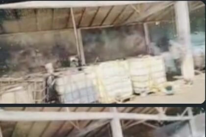 Screenshot 20251211 151029 WhatsAppBusiness