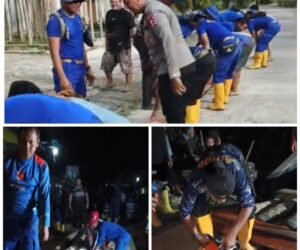 FotoGrid 20260104 143709064