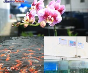 IMG 20260110 WA01351