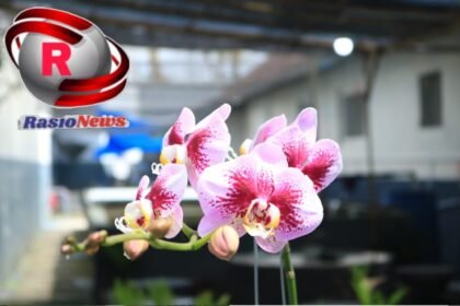 IMG 20260110 WA01351