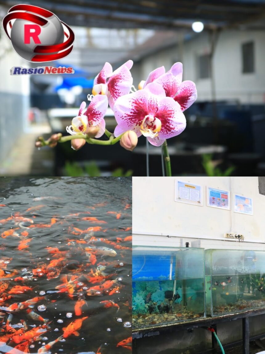 IMG 20260110 WA01351