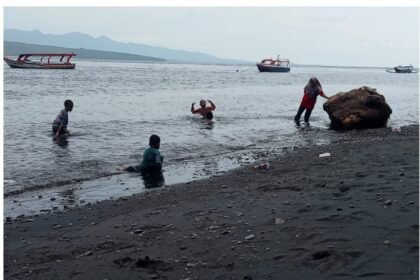 IMG 20260121 WA00681