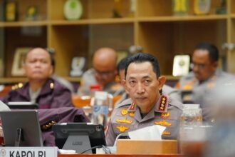 IMG 20260127 WA0151 1