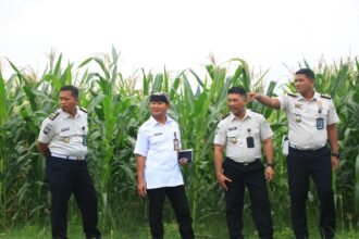 IMG 20260128 WA0297