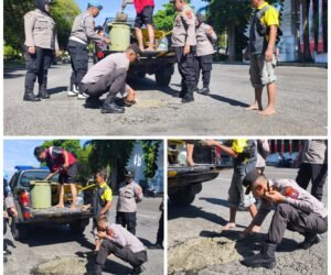 FotoGrid 20260203 133056320