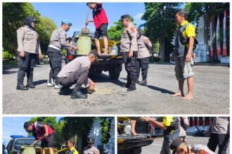 FotoGrid 20260203 133056320