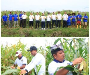 FotoGrid 20260221 184759934