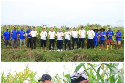 FotoGrid 20260221 184759934