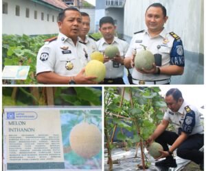 FotoGrid 20260224 160716536