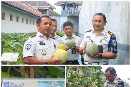 FotoGrid 20260224 160716536