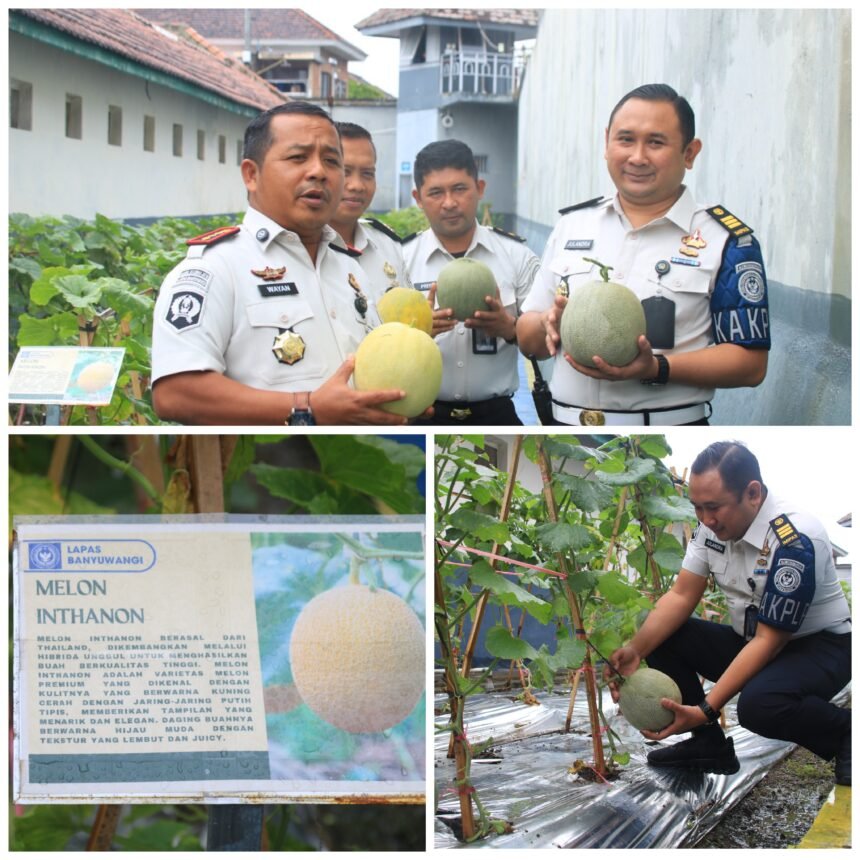 FotoGrid 20260224 160716536