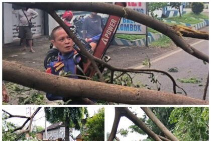 FotoGrid 20260226 180946525