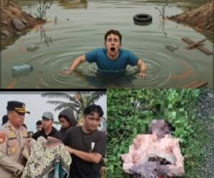 GridArt 20260211 222349489