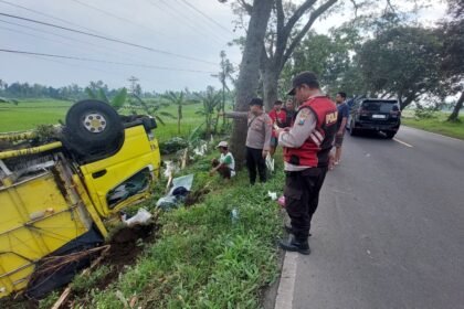 IMG 20260209 WA0160 1