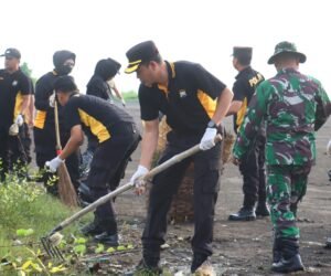 IMG 20260209 WA0431 1