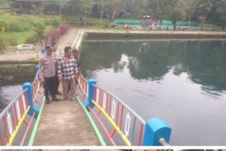 IMG 20260215 WA0137 1