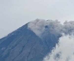 Screenshot 2026 02 27 15 28 14 06 6012fa4d4ddec268fc5c7112cbb265e7