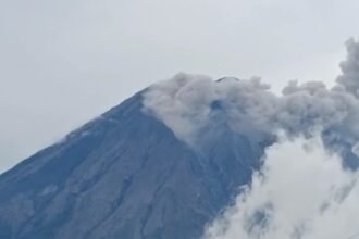 Screenshot 2026 02 27 15 28 14 06 6012fa4d4ddec268fc5c7112cbb265e7