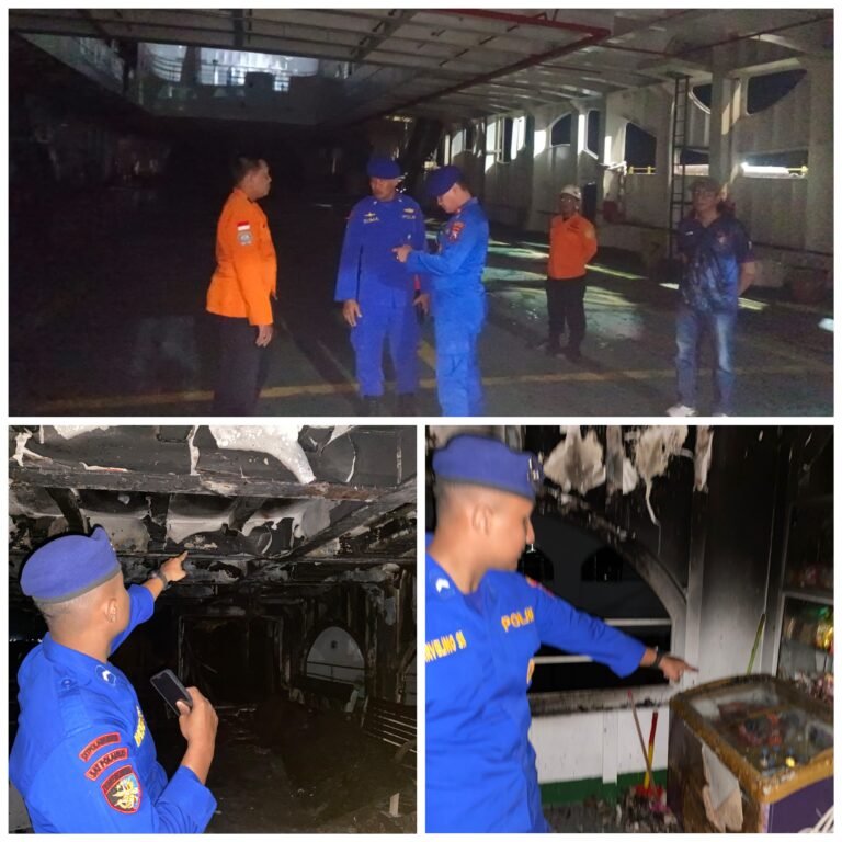 FotoGrid 20260312 120506395