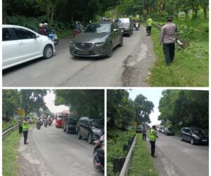 FotoGrid 20260325 205631461