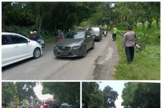 FotoGrid 20260325 205631461