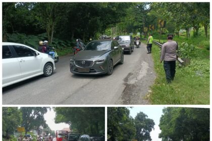 FotoGrid 20260325 205631461