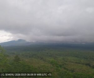 IMG 20260301 WA01202