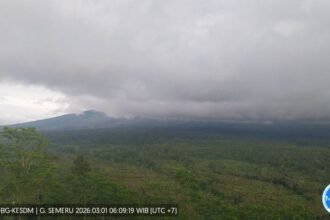 IMG 20260301 WA01202