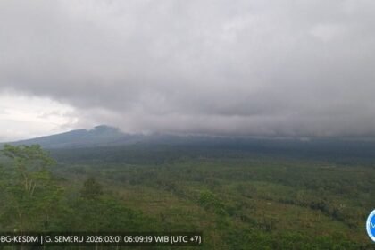 IMG 20260301 WA01202