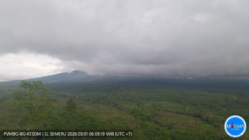 IMG 20260301 WA01202