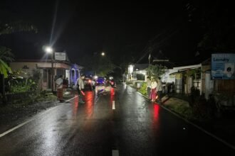 IMG 20260305 WA00601