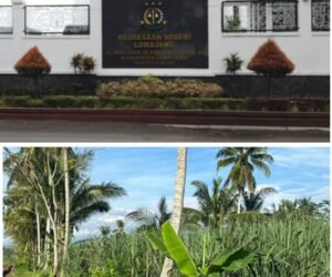 IMG 20260320 WA01071