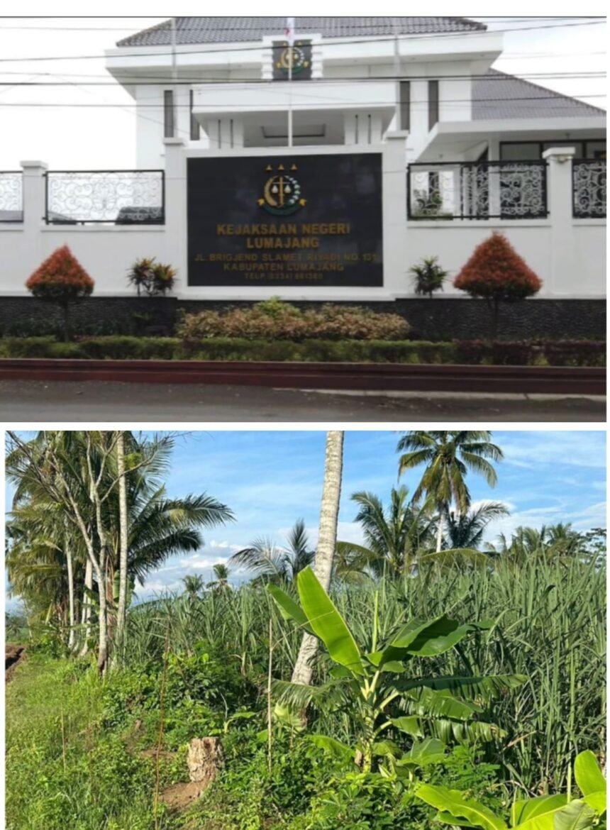 IMG 20260320 WA01071