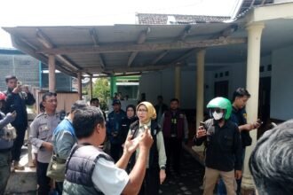 IMG 20260329 WA00511