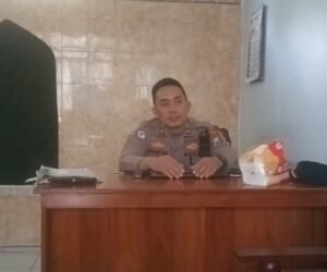 IMG 20260314 11051294