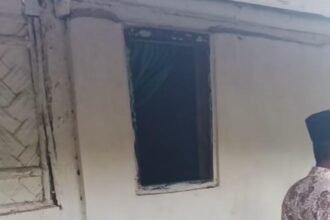 IMG 20260505 WA01171