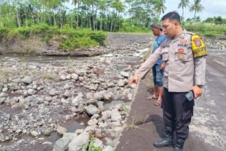 IMG 20260509 WA01221