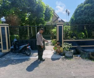IMG 20260512 WA0154