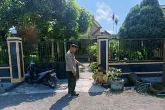 IMG 20260512 WA0154