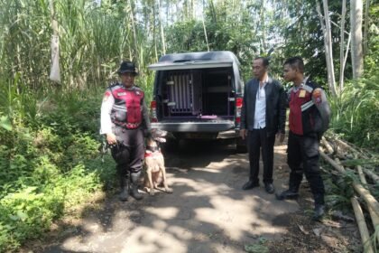 IMG 20260519 WA0154