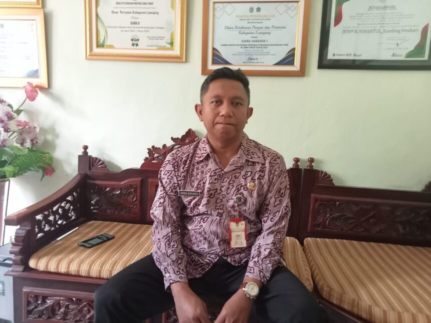 IMG 20260521 WA00941