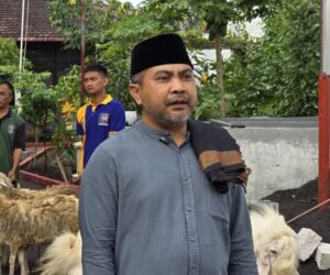 IMG 20260527 WA01552