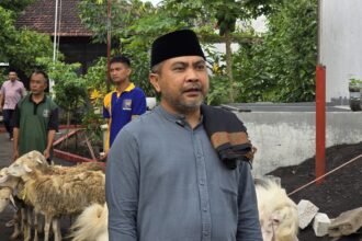 IMG 20260527 WA01552
