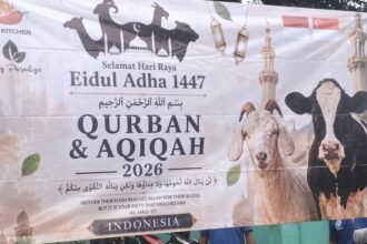 IMG 20260527 WA0229