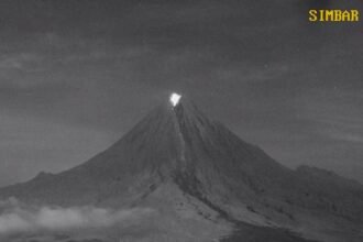 IMG 20260601 WA0155