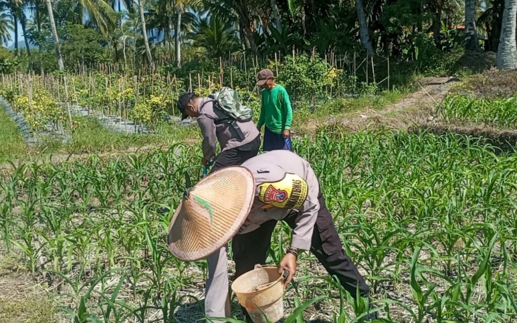 IMG 20260605 WA0034