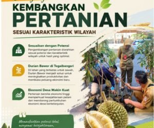 IMG 20260606 WA0130