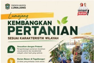 IMG 20260606 WA0130