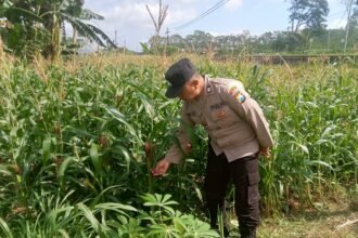 IMG 20260607 WA0012